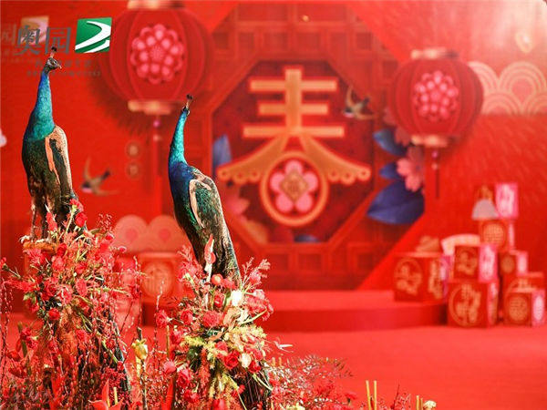 如何搞定高端的年會(huì)活動(dòng)？以下這六點(diǎn)可以幫你！